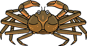 대게아나 대게 일러스트