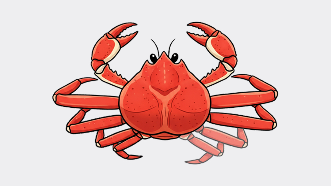 대게아나 비품 다리