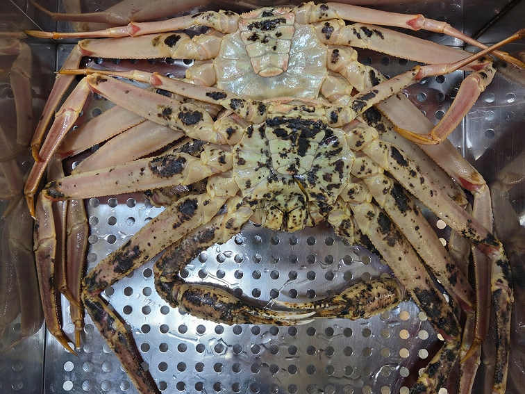 대게아나 조리 방식